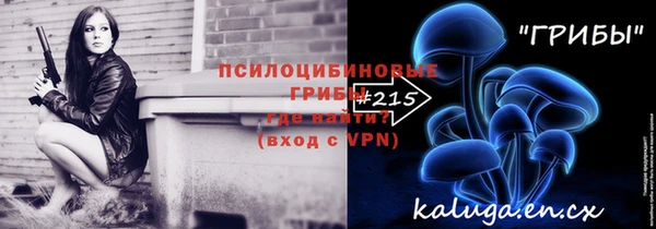 ешки Абаза