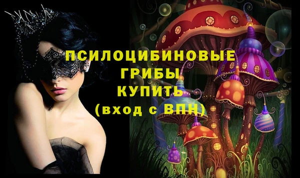 ешки Абаза