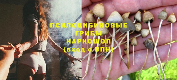 ешки Абаза