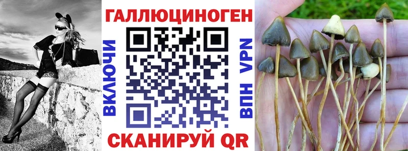 Псилоцибиновые грибы MAGIC MUSHROOMS  omg зеркало  Знаменск 