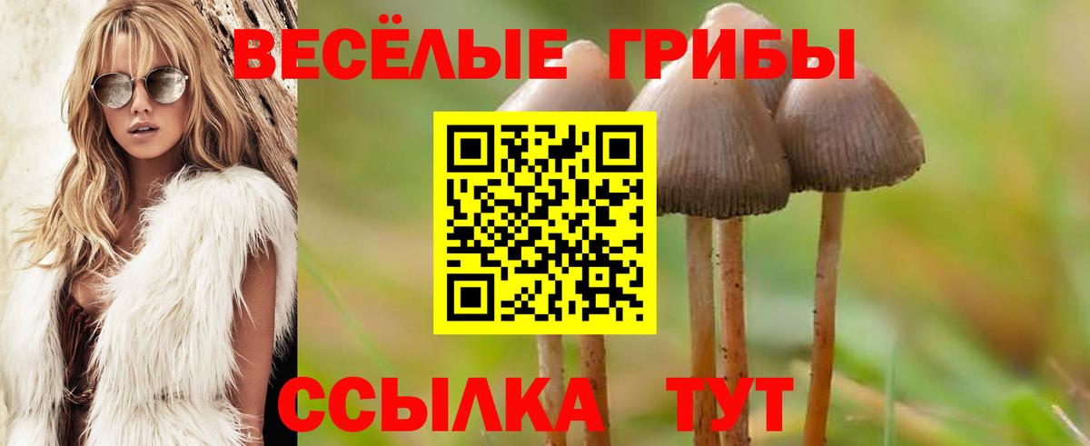 что такое наркотик  Вход с VPN  Галлюциногенные грибы Magic Shrooms  Знаменск  Псилоцибиновые грибы мицелий 